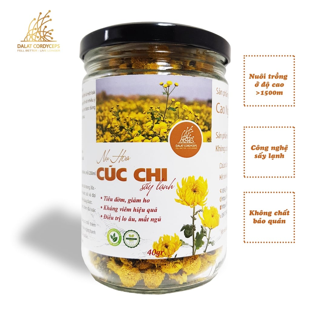 Trà thảo mộc nụ hoa cúc chi sấy lạnh - Dalat Cordyceps
