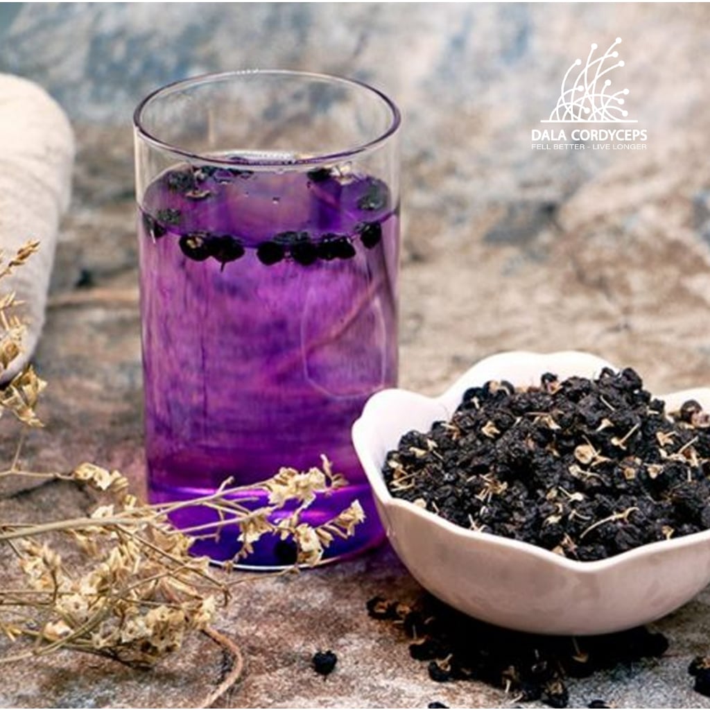 Hắc kỷ tử đen sấy khô - Dalat Cordyceps - loại thượng hạng