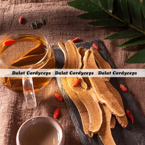 Nấm linh chi đỏ, hồng chi thái lát - lọ 50g - Dalat Cordyceps
