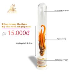 Đông trùng hạ thảo ký chủ nhộng tầm,,Dalat Cordyceps, lọ  25 - 50 con