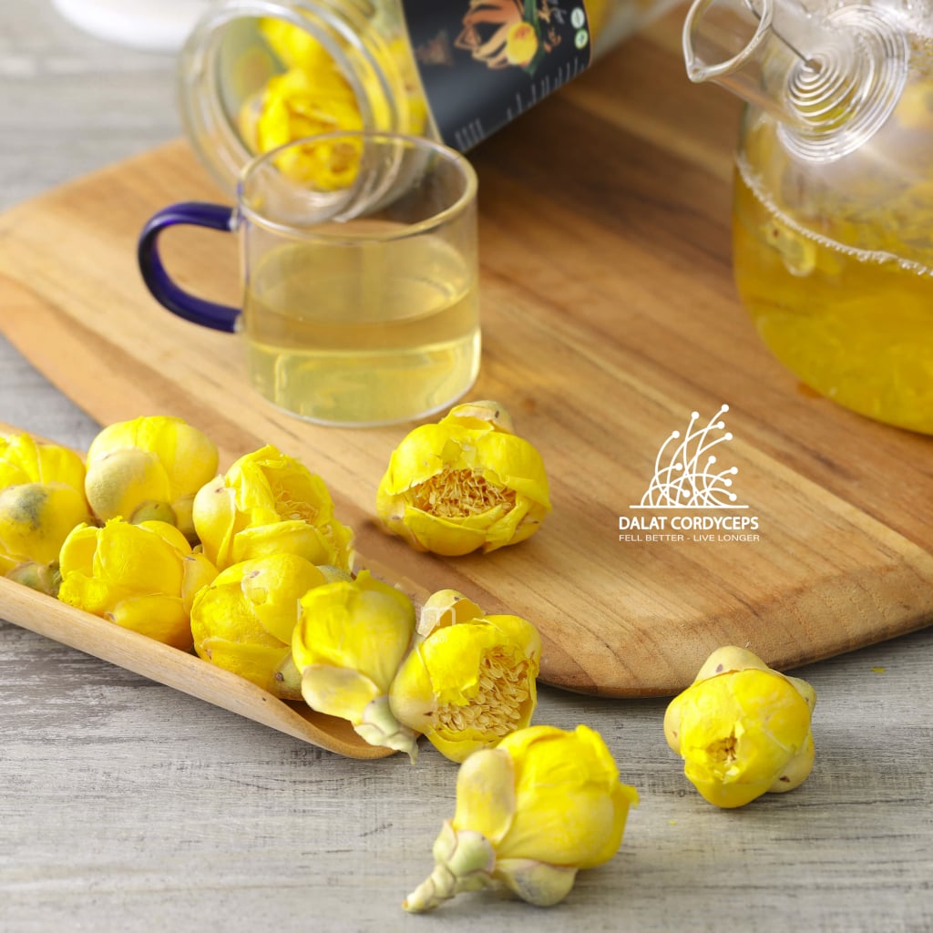 Trà hoa vàng sấy lạnh Dalat Cordyceps
