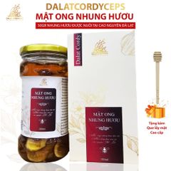 Mật ong ngâm nhung hươu ngâm trong lọ thuỷ tinh - Hộp cao cấp
