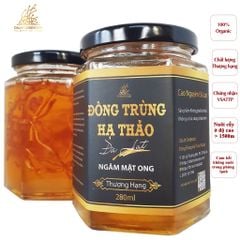 Nấm đông trùng hạ thảo tươi ngâm mật ong,,, Dalat Cordyceps