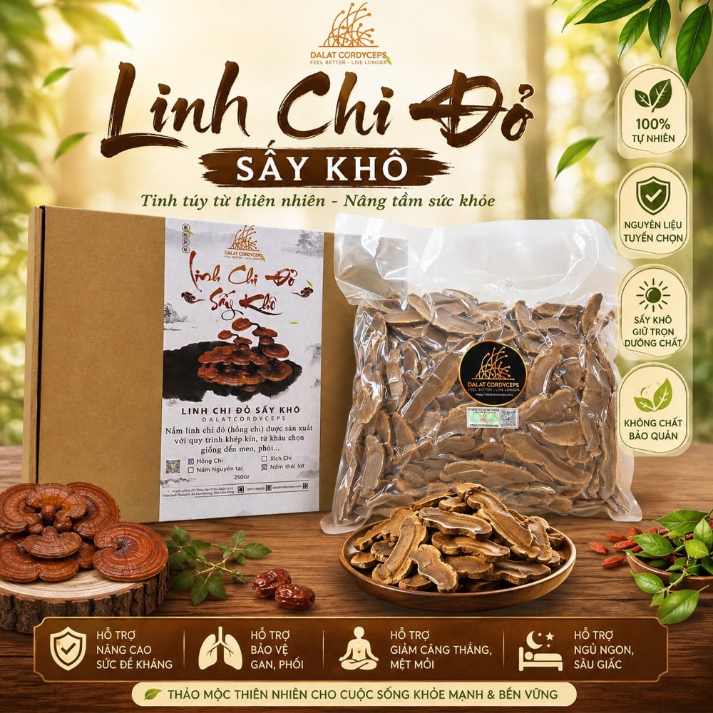 Nấm Linh Chi Đỏ Đà Lạt Thái Lát Còn Bào Tử Dalat Cordyceps