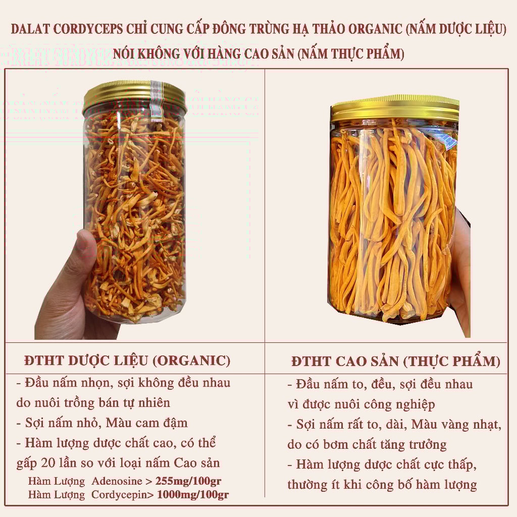 Nấm đông trùng hạ thảo khô sấy thăng hoa (50gr)