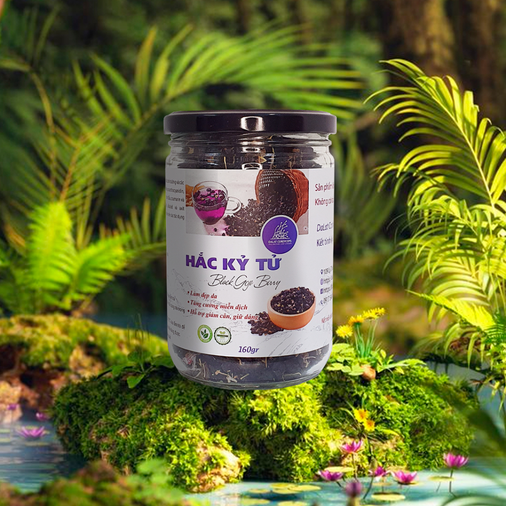 Hắc kỷ tử đen sấy khô - Dalat Cordyceps - loại thượng hạng