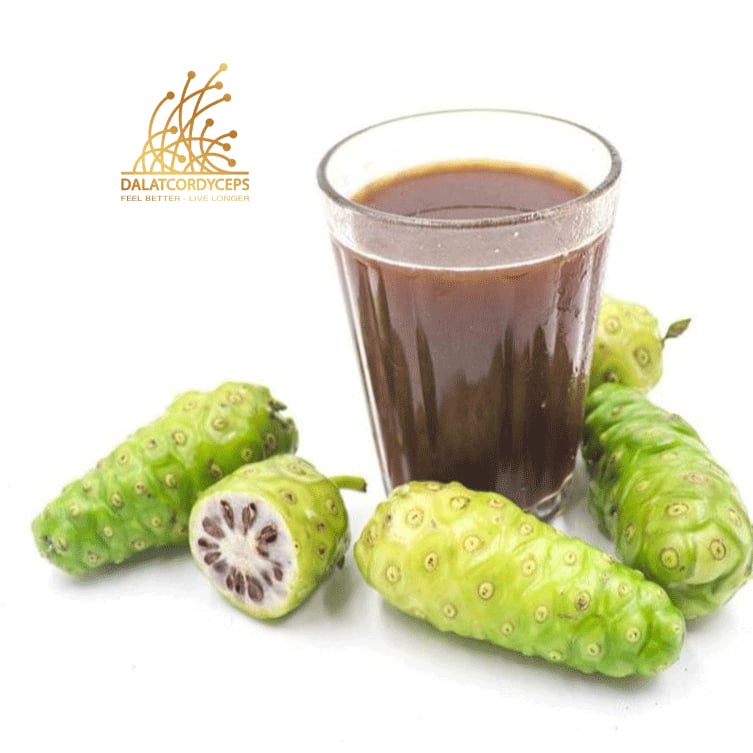 Nước cốt trái nhàu được làm từ trái nhàu tươi được lên men tự nhiên - Dalat Cordyceps