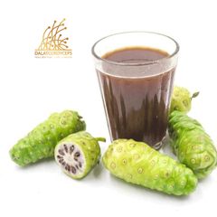 Nước cốt trái nhàu được làm từ trái nhàu tươi được lên men tự nhiên - Dalat Cordyceps