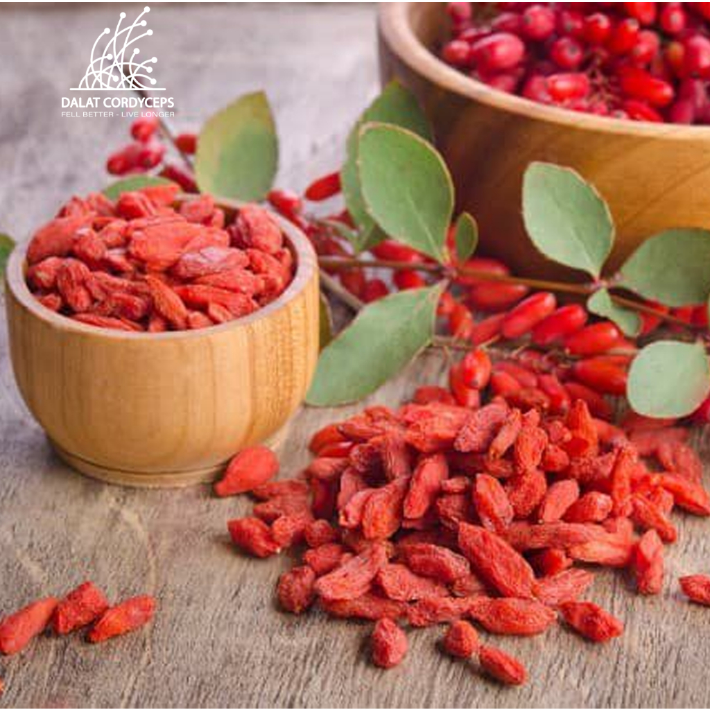 Kỷ tử đỏ sấy khô - Dalat Cordyceps - loại thượng hạng
