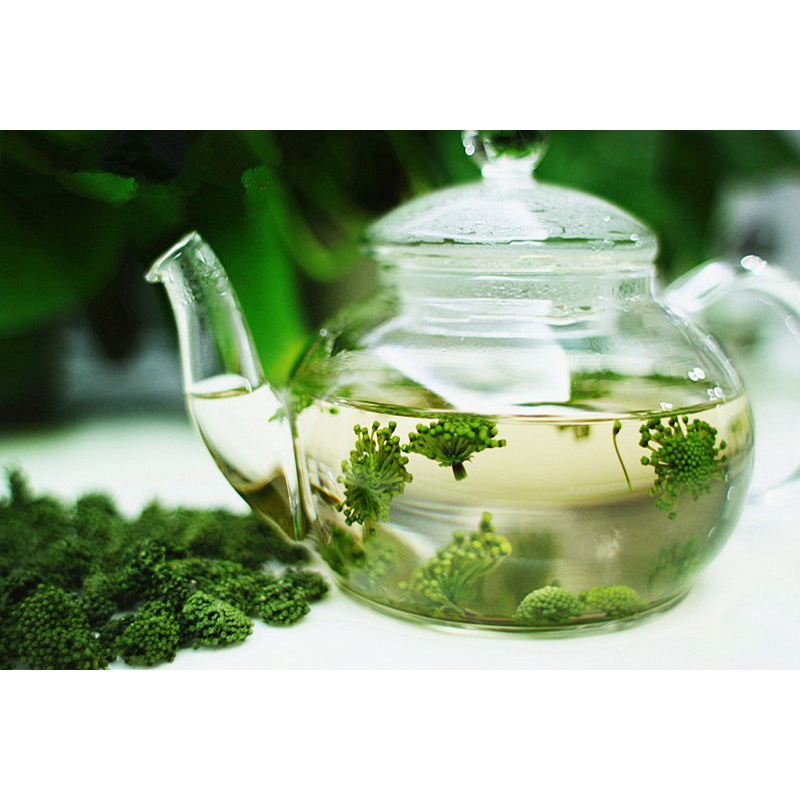 Trà thảo mộc nụ hoa tam thất bao tử loại nụ sấy lạnh, Dalat Cordyceps