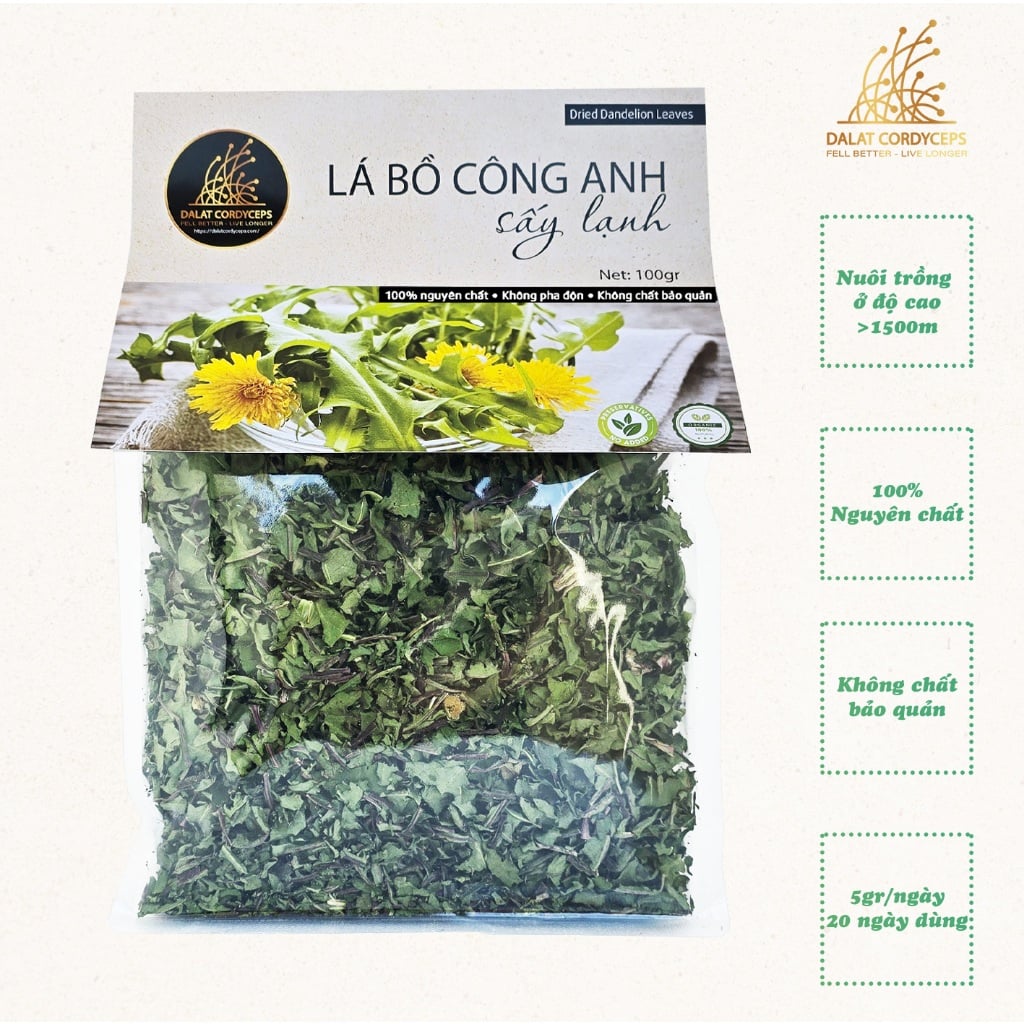 Trà thảo mộc lá bồ công anh sấy lạnh Dalat Cordyceps