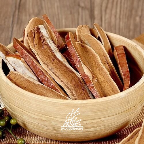 Nấm linh chi đỏ, hồng chi thái lát - lọ 50g - Dalat Cordyceps