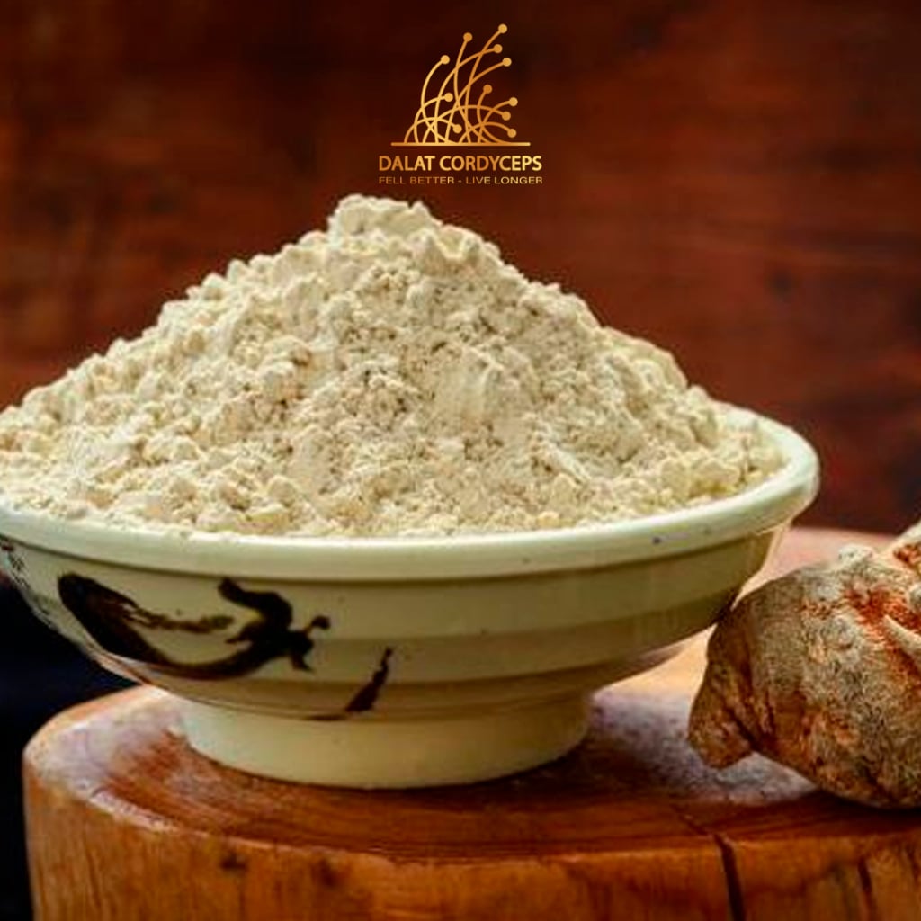 Bột củ tam thất bắc sây khố nguyên chất sấy khô , Loại cao cấp Dalat Cordyceps