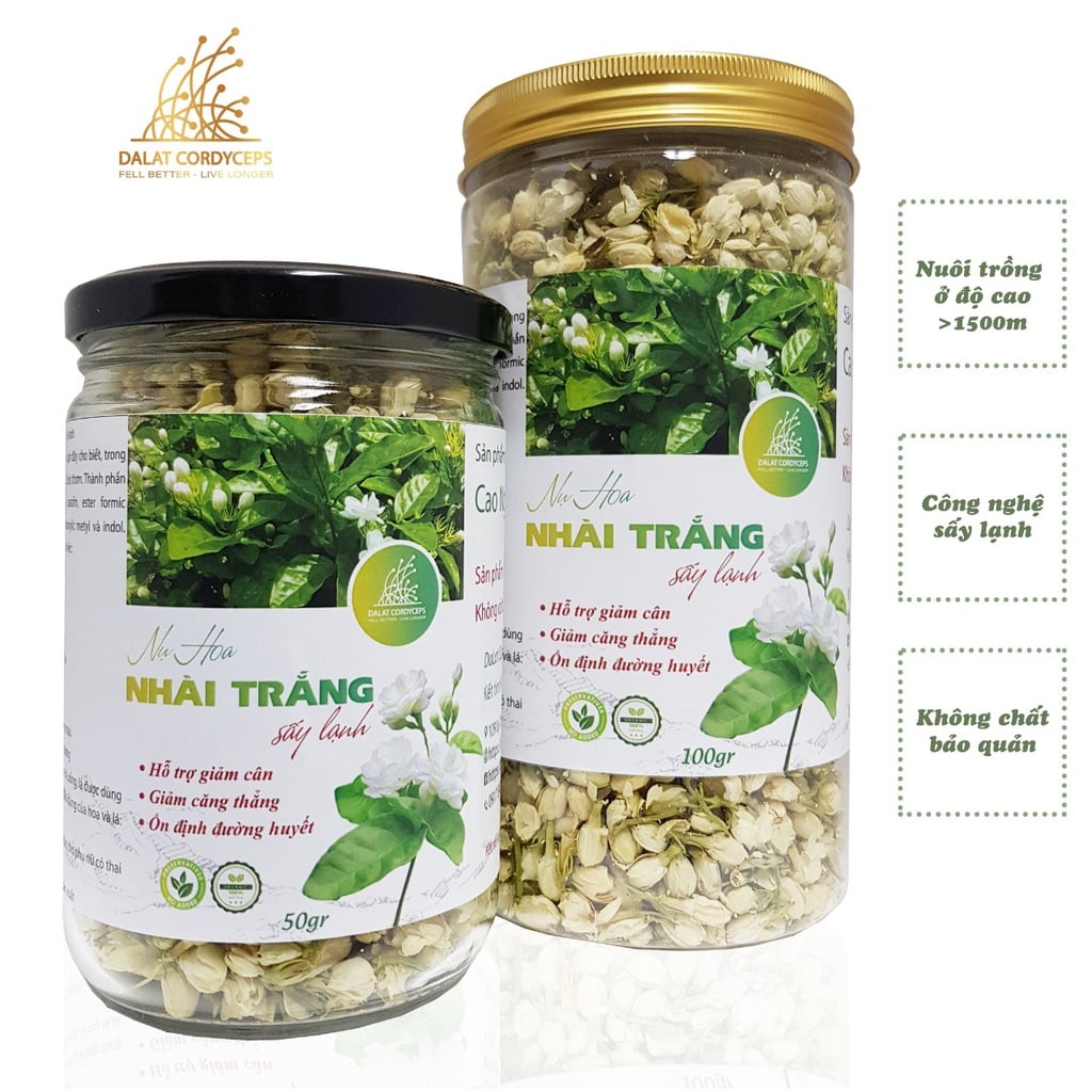 Trà thảo mộc nụ hoa nhài khô - Dalat Cordyceps