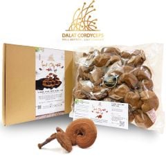 Nấm linh chi đỏ Đà Lạt còn nguyên bào tử nấm, loại nguyên tai Dalat Cordyceps