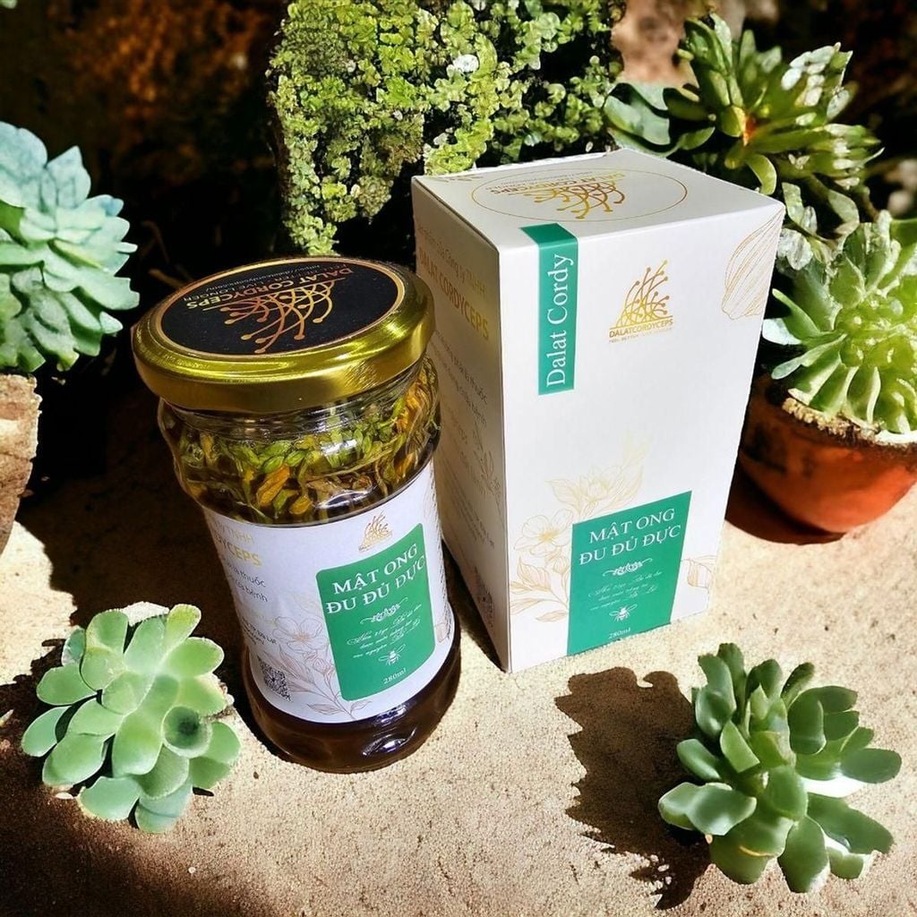 Mật ong ngâm hoa đu đủ đực - Hộp cao cấp