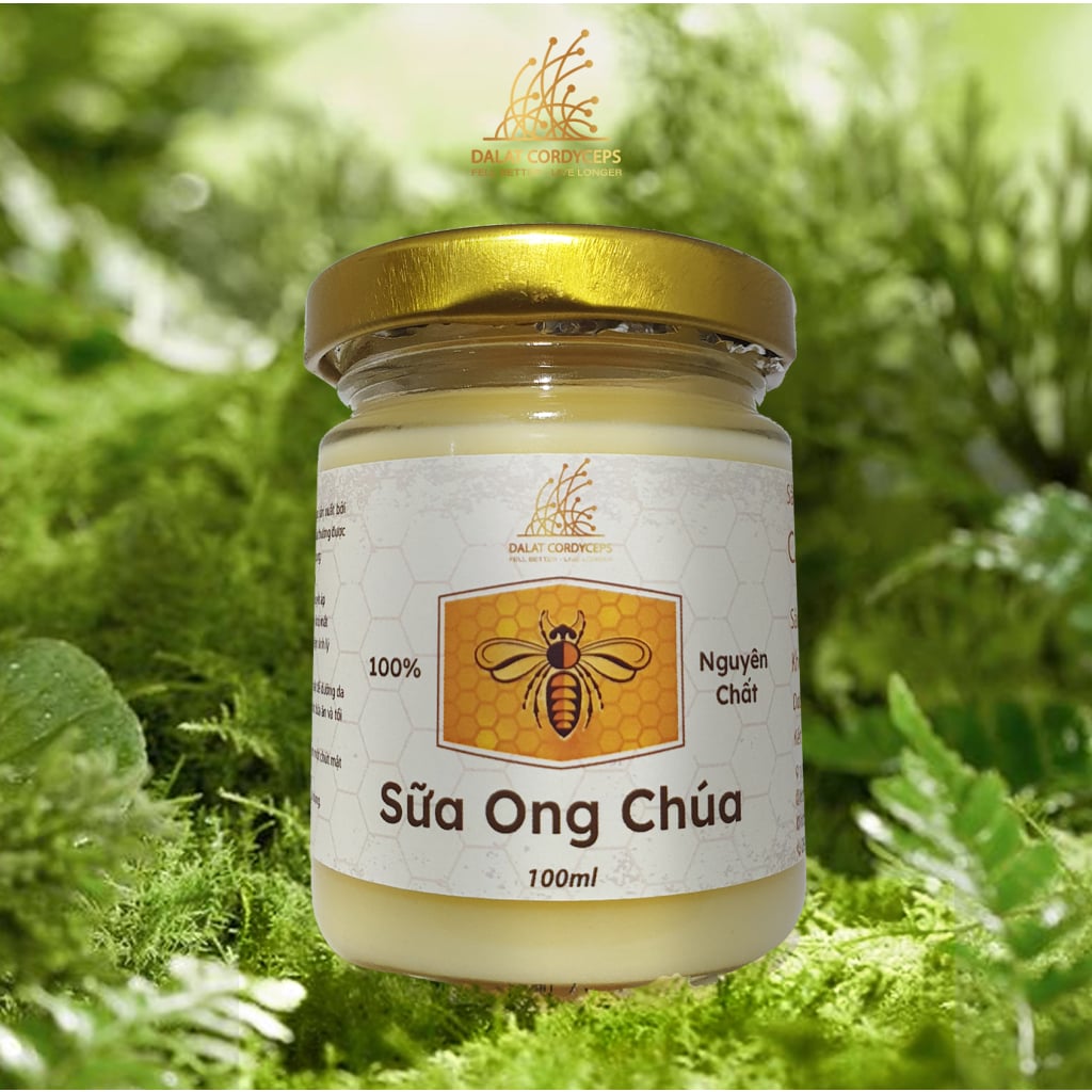 Sữa ong chúa tươi - Dalat Cordyceps