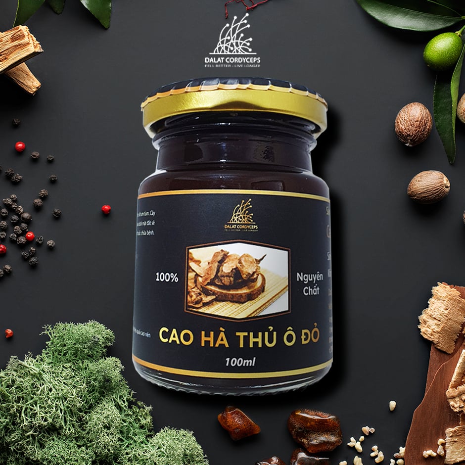 Cao Hà Thủ Ô Đỏ giúp đen tóc, đẹp da hồng hào, giảm bạc tóc Thảo Mộc Dalat Cordyceps