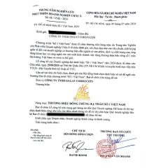 Nấm đông trùng hạ thảo tươi ngâm mật ong,,, Dalat Cordyceps