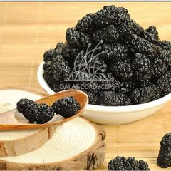 Quả dâu tằm khô sấy lạnh - Dalat Cordyceps