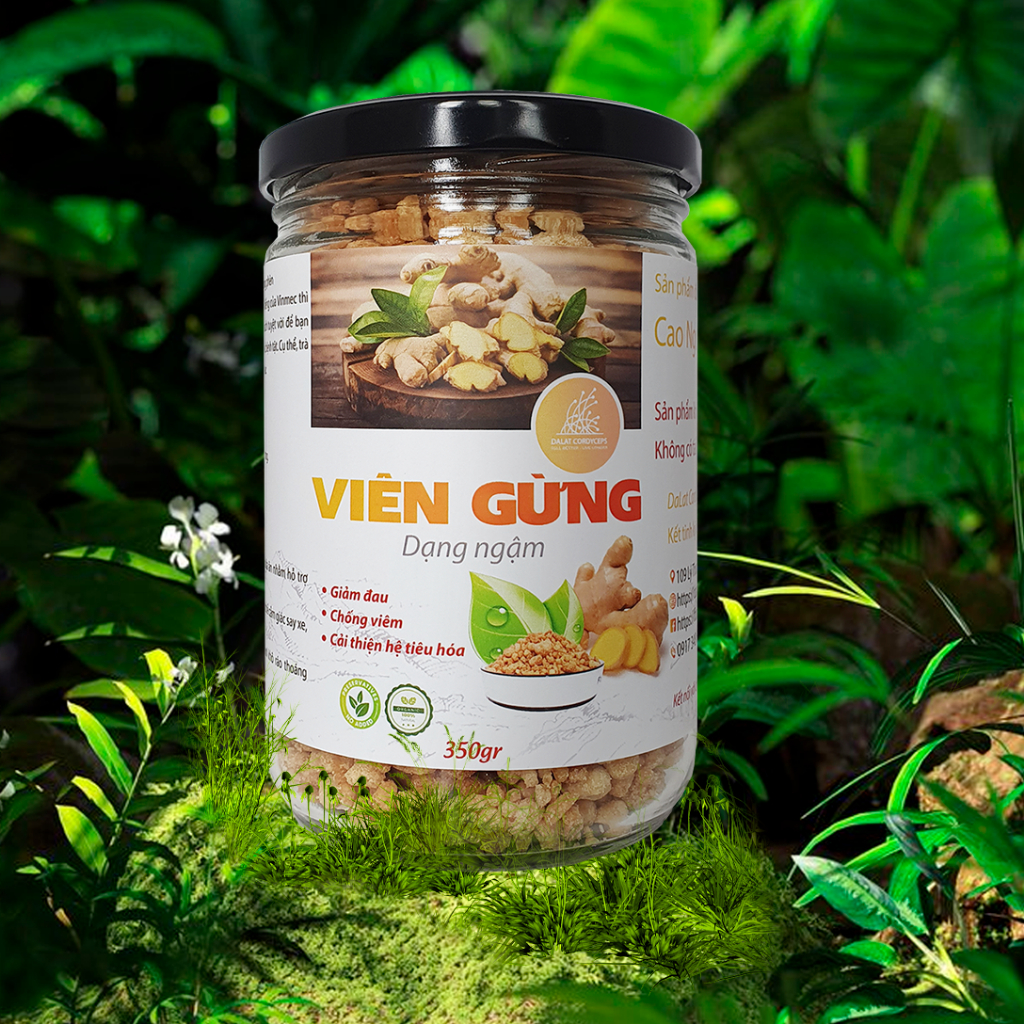 Trà viên gừng Dalat Cordyceps, dạng viên ngậm