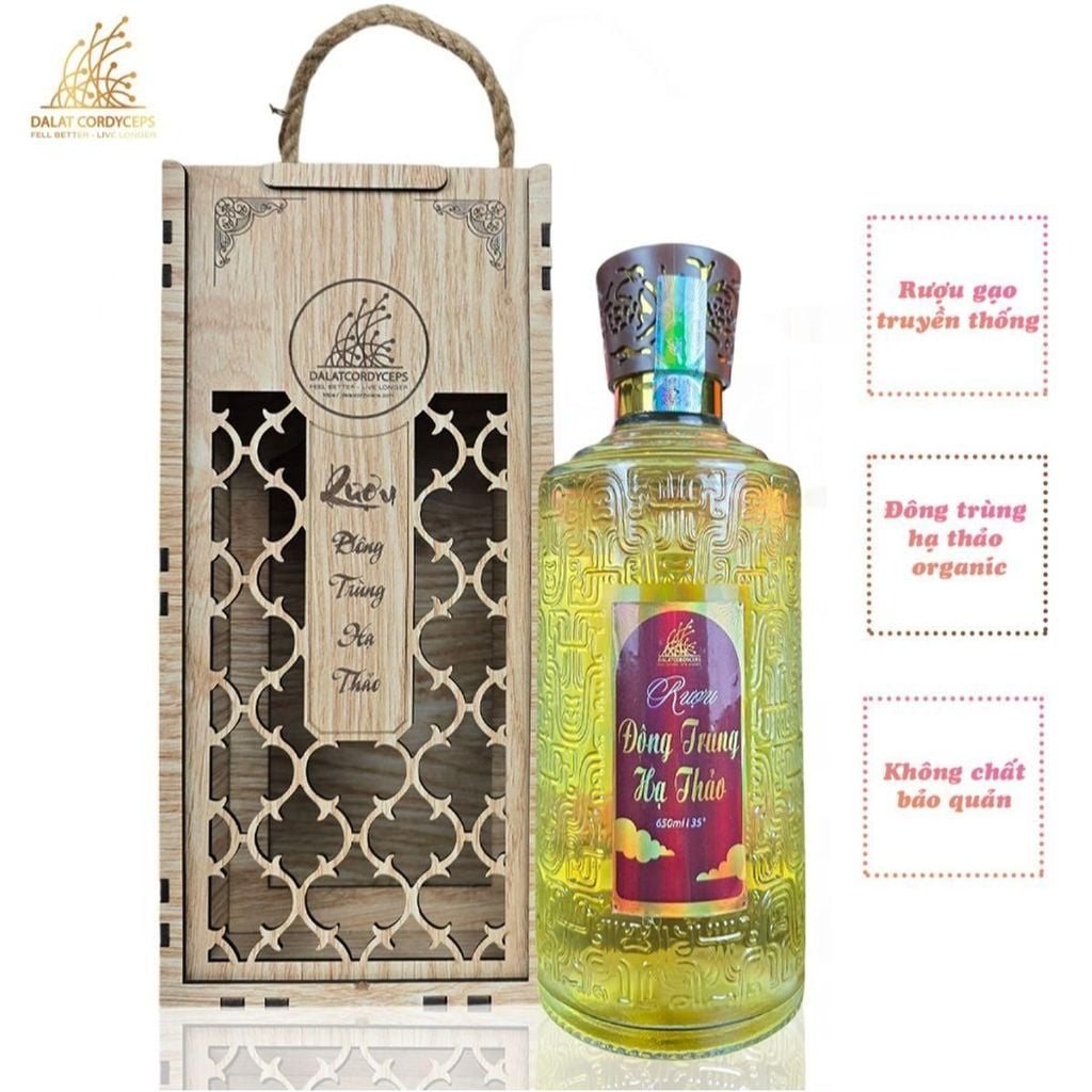 Đông trùnġ hạ thảo ngâm rượu - Dalat Cordyceps - Hộp gỗ cao cấp