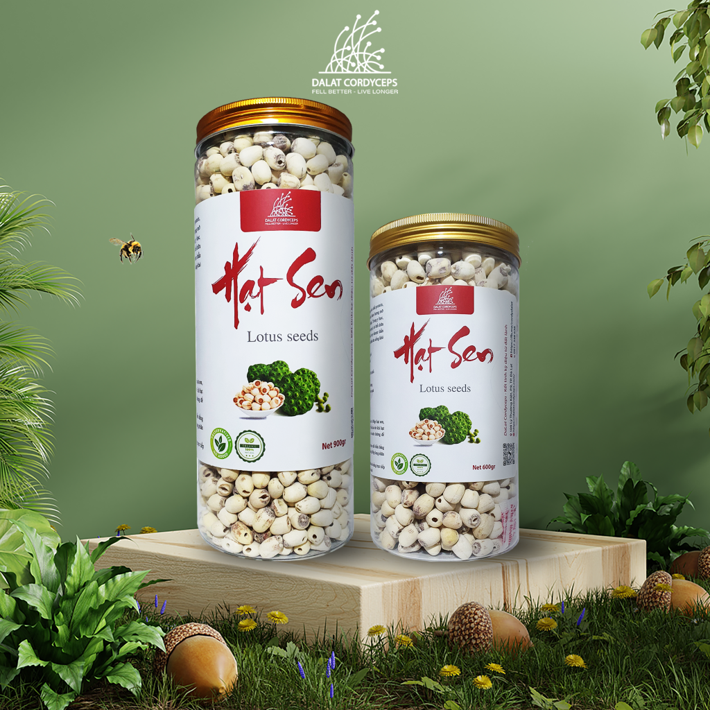 Hạt sen sấy khô Dalat Cordyceps - hạt tịnh tâm