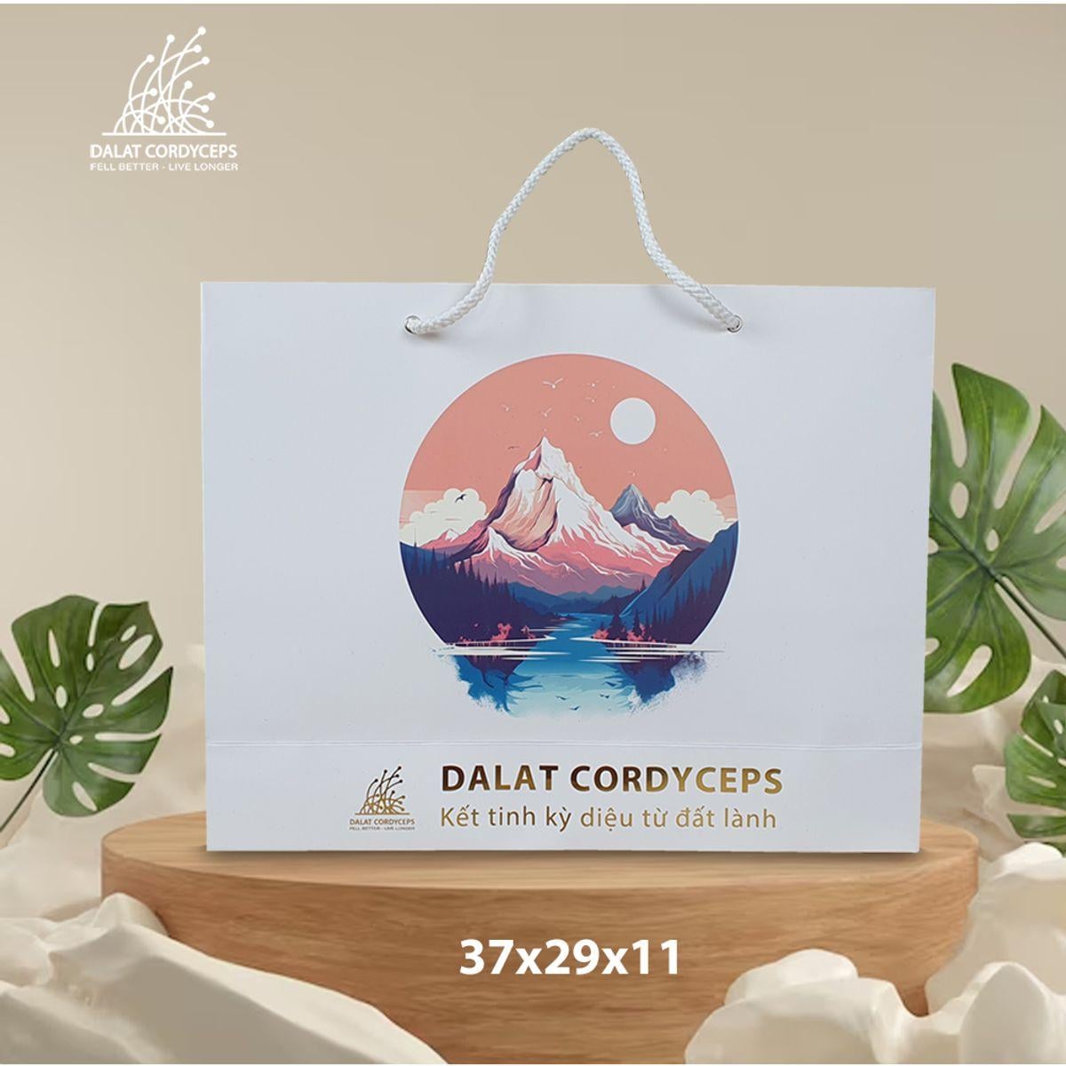 Túi giấy quà tặng cao cấp - Dalat Cordyceps