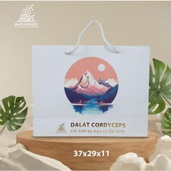 Túi giấy quà tặng cao cấp - Dalat Cordyceps