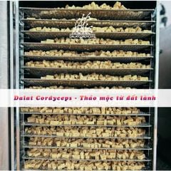 Gừng thẻ vị nguyên bản cay nồng - Dalat Cordyceps