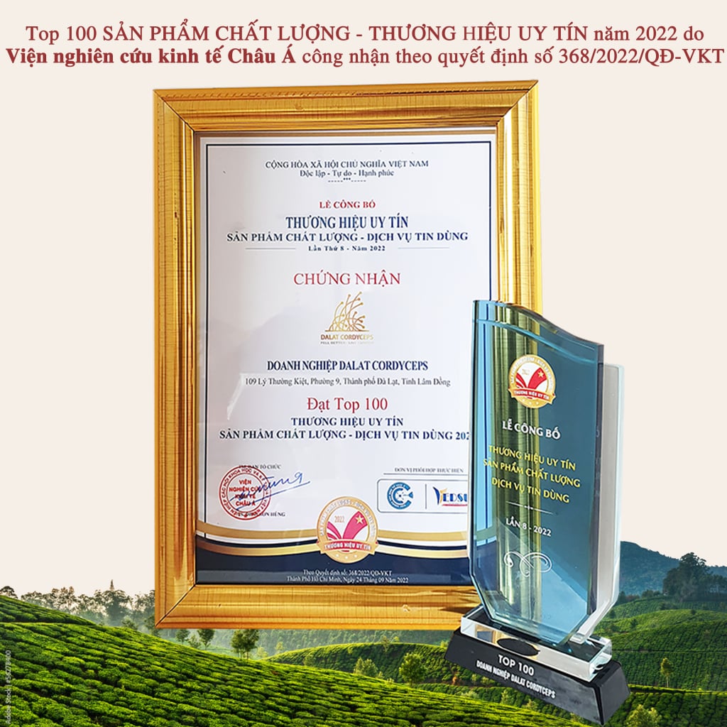 Thảo mộc nhân trần sấy khô Dalat Cordyceps