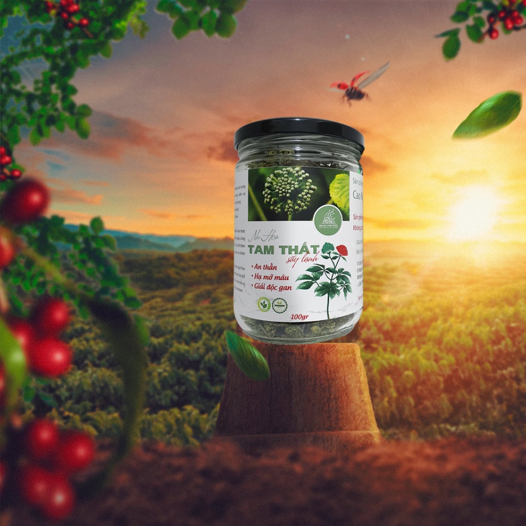 Trà thảo mộc nụ hoa tam thất bao tử loại nụ sấy lạnh, Dalat Cordyceps