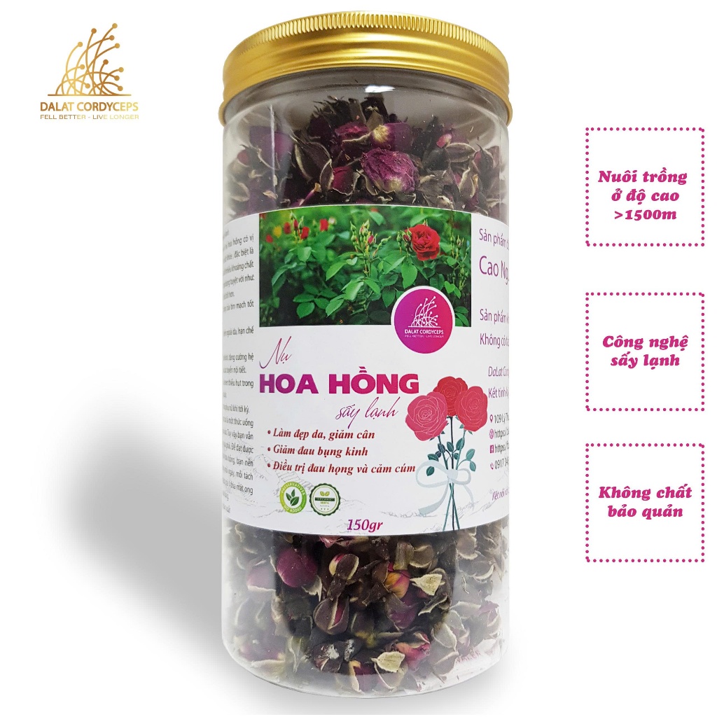 Trà thảo mộc nụ hoa hồng sấy lạnh - Dalat Cordyceps - loại thượng hạng