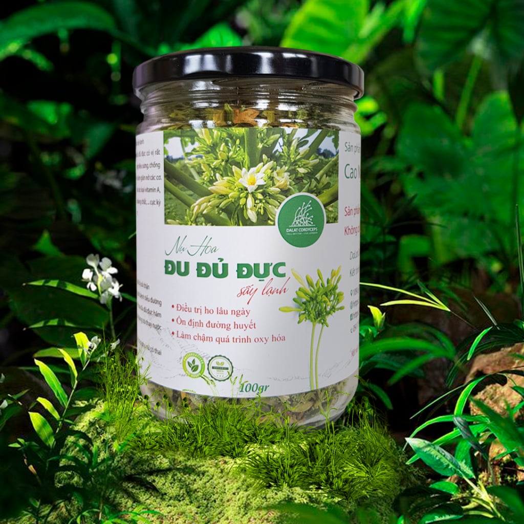 Nụ hoa đu đủ đực đã khô công nghệ sấy lạnh Dalat Cordyceps