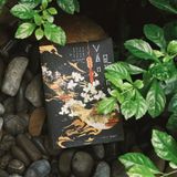  Sách - Vấn Quan (Tập 1) 