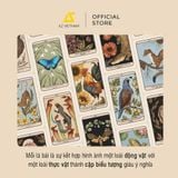  Sách - [Boxset Việt Hoá] Woodland Wardens Oracle 