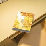  Sách - Đường Về - Mặc Bảo Phi Bảo 