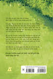  Sách - Em Gái Là Thiên Thần Nhỏ Mà Thế Giới Này Dành Tặng Cho Tôi 
