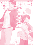  Sách - Tình Ta Ngọt Tựa Trái Dâu (Tập 1+2) 