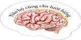  Sách - Não Bộ Cũng Cần “Lười Biếng” 