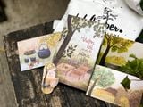  Sách - Vườn Tôi Có Cây Lá Bình Yên 