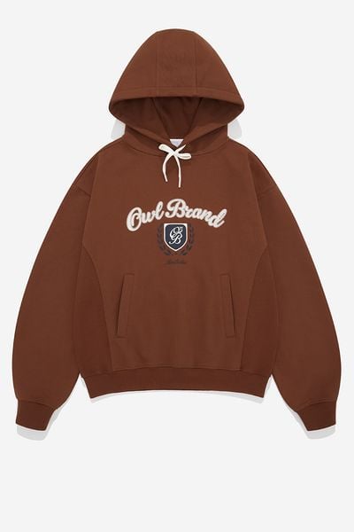 ÁO HOODIE REGULAR AAO - Cam