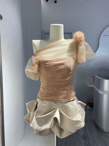 Set áo lệch vai đính bông kèm cv bồng (E18)