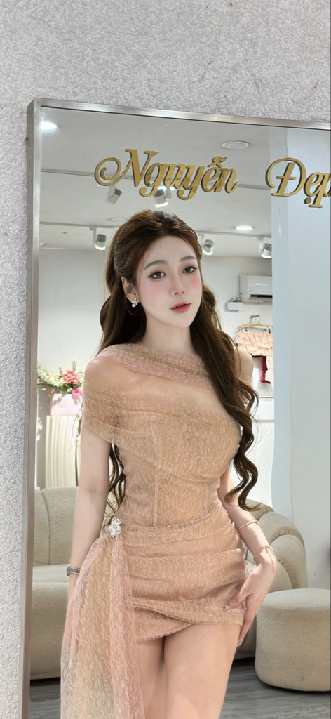 Đầm ren phối lưới đính hoa (S17)