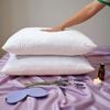 Ruột Gối Nằm Lõi Vi Sợi Microfiber Judy Drap (chuẩn khách sạn cao cấp)