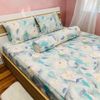 Bộ 4 Món Ga Gối Tản Nhiệt Ice Spandex Bigsize 2m2 Judy Drap