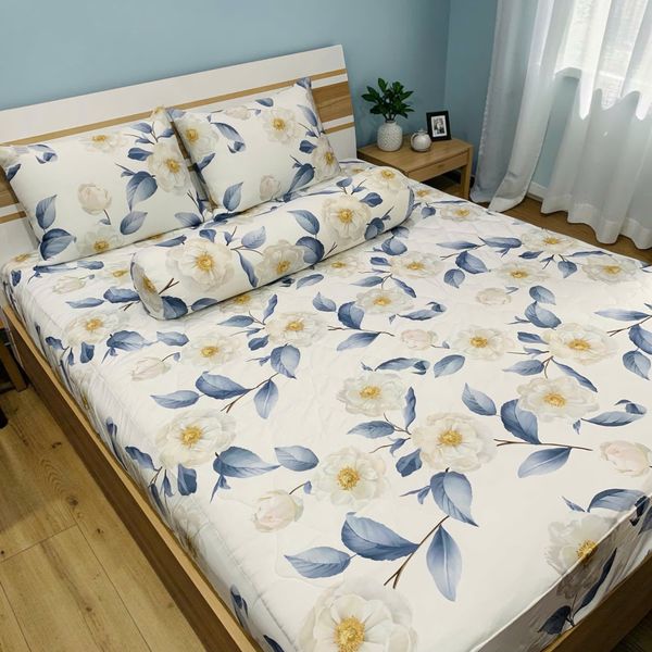 Bộ 4 Món Ga Gối Tản Nhiệt Ice Spandex Bigsize 2m2 Judy Drap