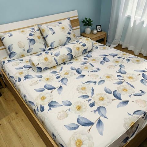 Bộ 4 Món Ga Gối Tản Nhiệt Ice Spandex Bigsize 2m2 Judy Drap