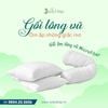Ruột Gối Ôm Lõi Vi Sợi Microfiber Judy Drap (Chuẩn Khách Sạn Cao Cấp)