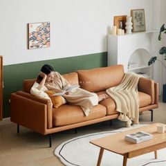 Sofa Fungus